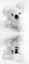 picture,animated,pussy,koala