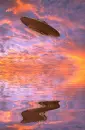 picture,animated,UFO