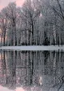 picture,animated,winter