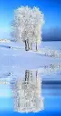 picture,animated,winter