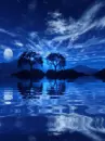 picture,animated,nature
