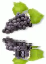 picture,animated,fruit