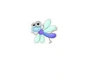 background,picture,animal