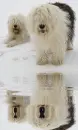 bobtails