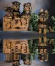 dogs