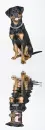 rotweiler