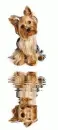 westie