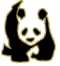 panda glitter