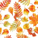 Autumn leaves