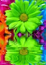 green flower