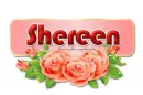 Three Roses: Shereen