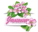 Bunch of Pink Flowers: Jammy