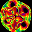 Rainbow gif