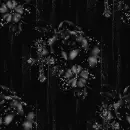 Gothic Background 3 Black Rose