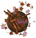 Autumn Dragonfly ~ Shakela