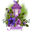 Purple Lamp Post: Jammy