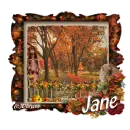 Autumn Flame - jane