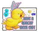 Quacky Weekend 