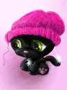 Gloomy Cat