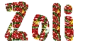 Zoli