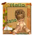 Hello Girl - Jane