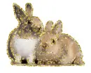2 bunny