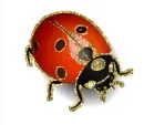 ladybird