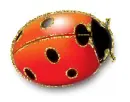 ladybird