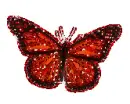 red butterfly
