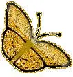 yellow butterfly