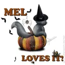 Mel - Pumpkin - Loves It