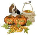 Hello Pumpkin- Jessi