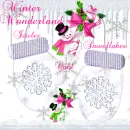 Winter Wonderland