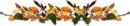 Autumn Leaves Divider