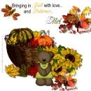 Mel - Bringing In Fall - Patience