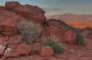 Nevada