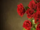 red rosas