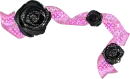 Roses and Ribbons