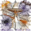 Bats, Spiders, Witches & Webs!