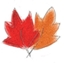 fall