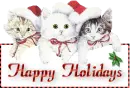 Happy Holidays its Christmas