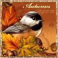 Autumn Fantasies (Little Bird)