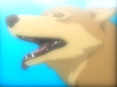 happy wolf
