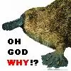 Platypus