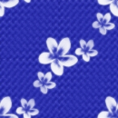 Blue Plumeria