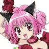 mew mew power roxs!!