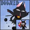 mew zoey cat