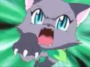 eilloit as a cat