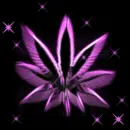 glowing weed