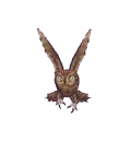 owl